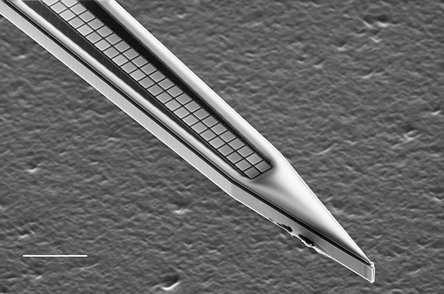 Close-Packed Silicon Microelectrodes for Scalable Spatially Oversampled Neural Recording